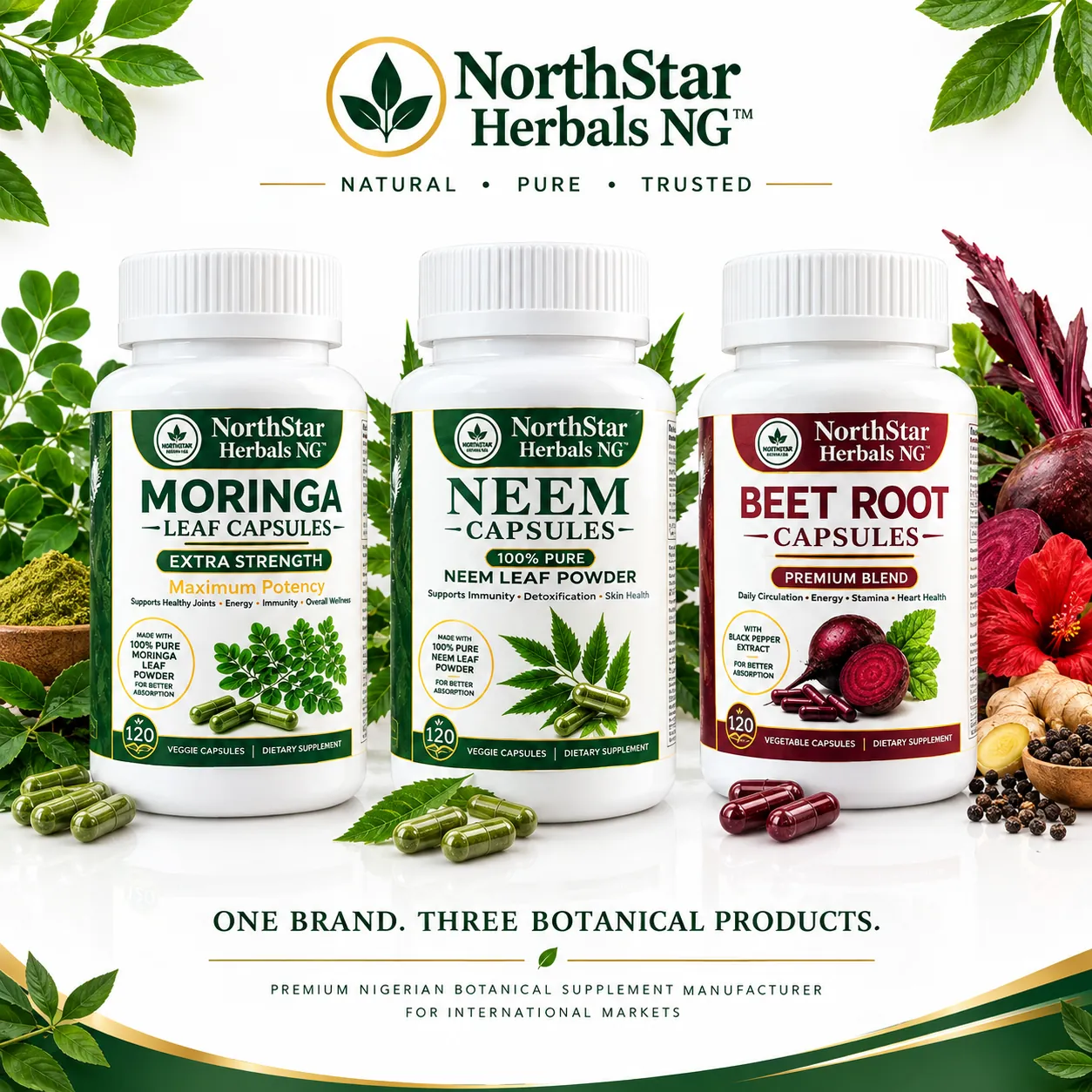 NorthStar Herbals Moringa, Neem and Beetroot capsule bottles